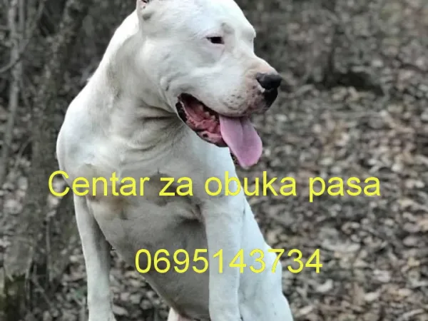 Ostalo na prodaju, Beograd