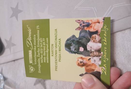 Stenci Dalmatinca image 6