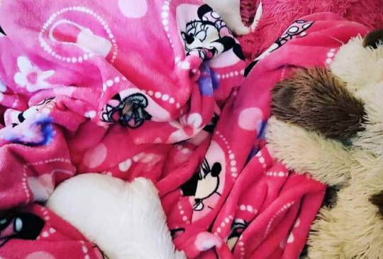 Stenci mesanci maltezera i špica image 4