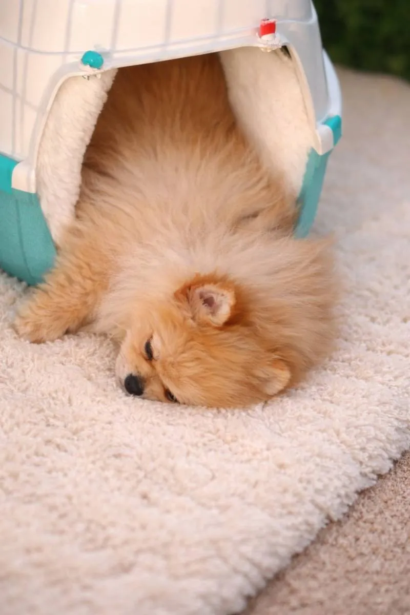 Ostalo na prodaju, Beograd (3)