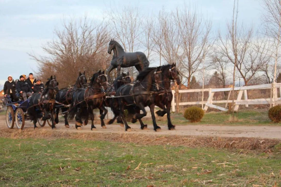 Ostalo na prodaju, Stara Pazova (4)