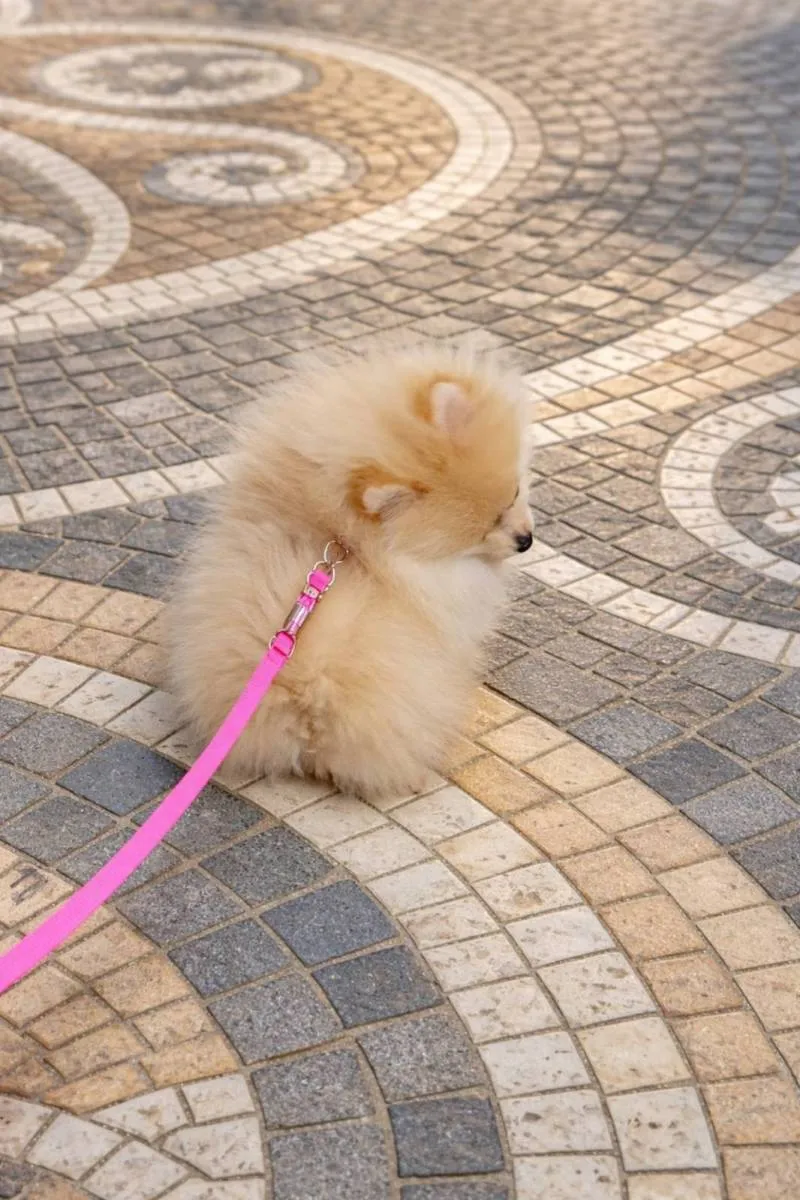 Ostalo na prodaju, Beograd (5)